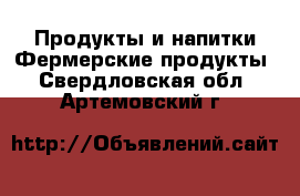 Продукты и напитки Фермерские продукты. Свердловская обл.,Артемовский г.